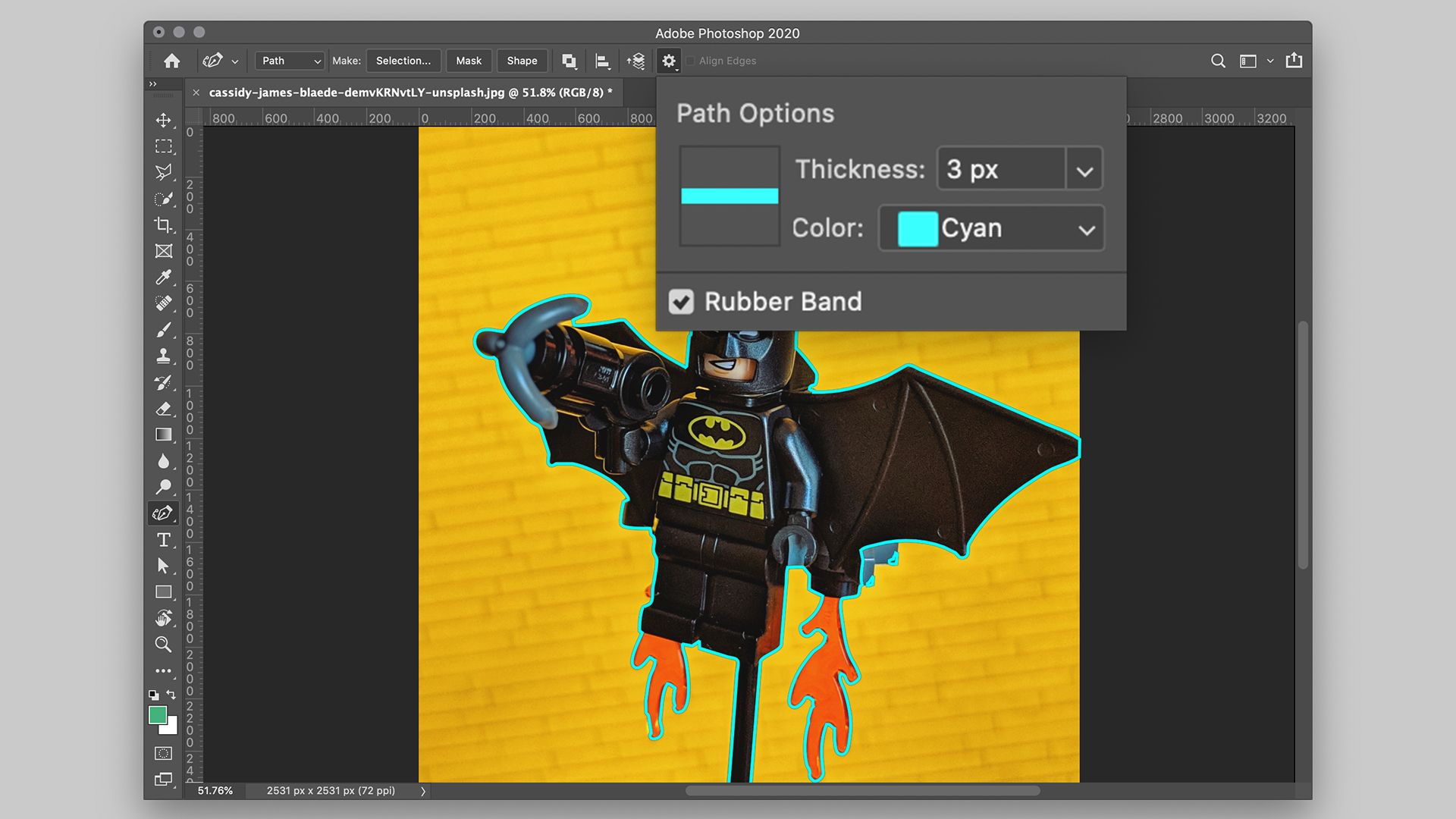 Path Options - Adobe Photoshop