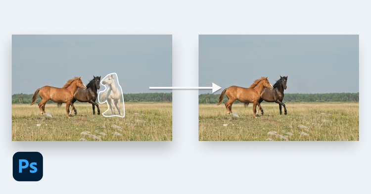 Adobe Photoshop / Content-aware Fill