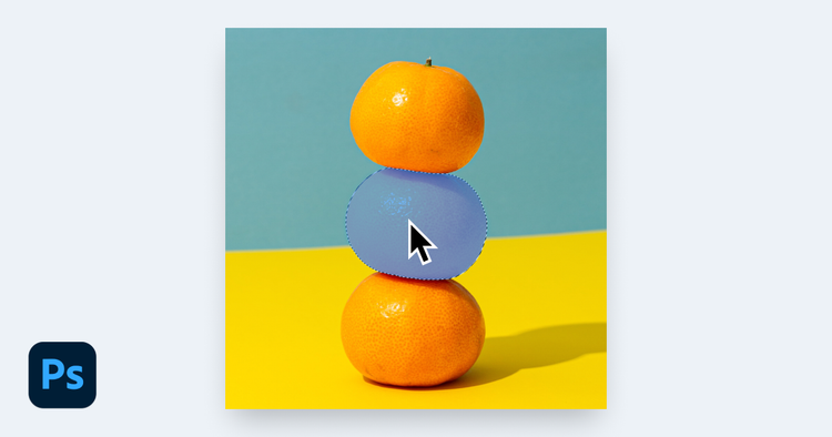 Adobe Photoshop / Object Selection tool